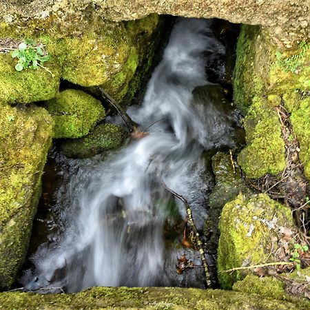 Quinta Do Moinho Turismo De Natureza Aldeia Vicosa Екстер'єр фото