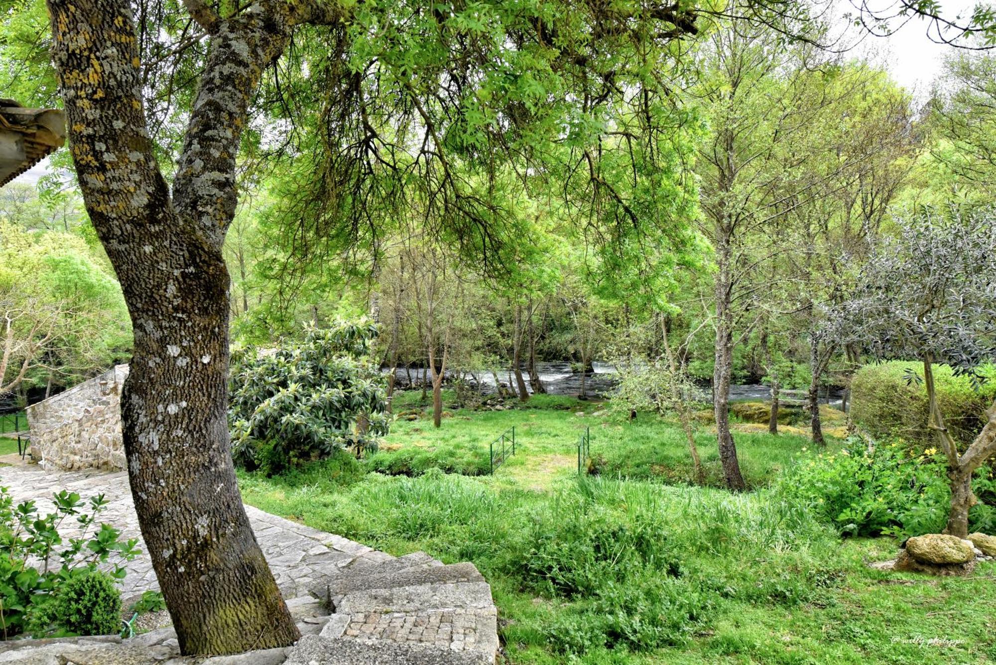 Quinta Do Moinho Turismo De Natureza Aldeia Vicosa Екстер'єр фото
